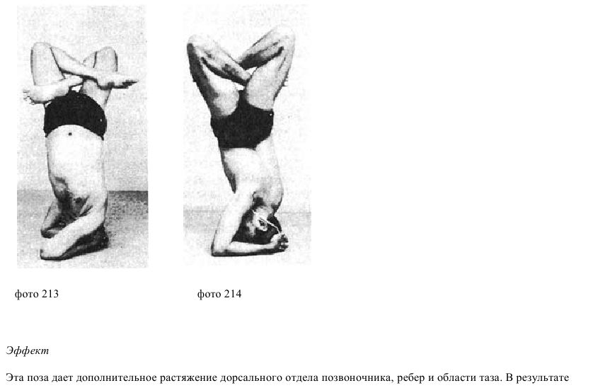 Shirshasana, headstand, yoga, slavyoga