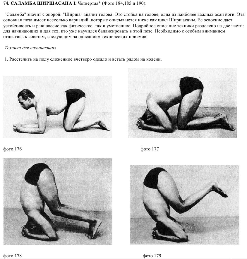 Shirshasana, headstand, yoga, slavyoga