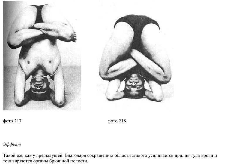 Shirshasana, headstand, yoga, slavyoga