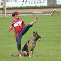 Школа дресирування собак ринг в Пушкіна - школа дресирування собак ринг