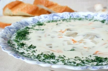 Supă de brânză - rețete cu fotografii