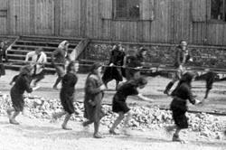 Система нацистських таборів і «остаточне вирішення єврейського питання» - освіта - отрута вашому