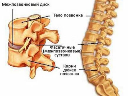 Displacerea simptomelor vertebrelor cervicale, tratament