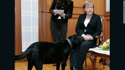 СNN «я не хотів лякати ангелу Меркель своєю собакою» - владимир путин