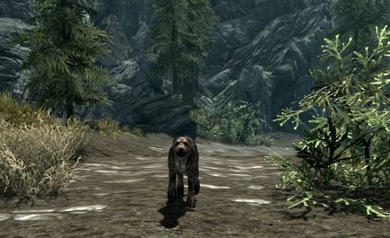 Prieten de câine daedra skyrim