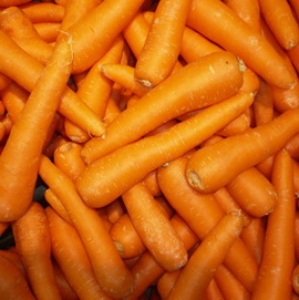 сонник морква