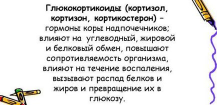 Сумісність алкоголю з гормональними препаратами, наслідки прийому