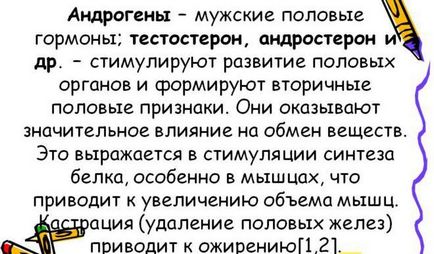 Сумісність алкоголю з гормональними препаратами, наслідки прийому