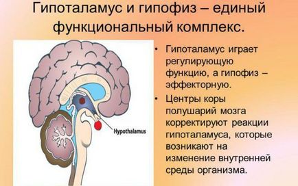 Сумісність алкоголю з гормональними препаратами, наслідки прийому