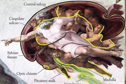 Crearea unui astfel de miracol ca și creierul uman, fără conceptul de creator, este aproape imposibilă