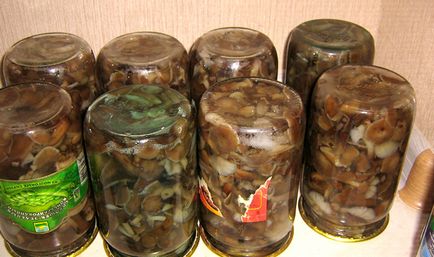 Способи консервування грибів груздів на зиму в банках рецепти для використання в домашніх