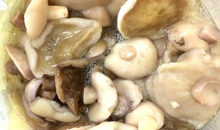 Способи консервування грибів груздів на зиму в банках рецепти для використання в домашніх