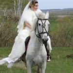 Весільні фотосесії з конями, кінний туризм в Данкова