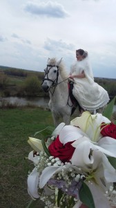 Весільні фотосесії з конями, кінний туризм в Данкова