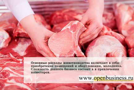 Afacerea mea este producția de carne de bovine