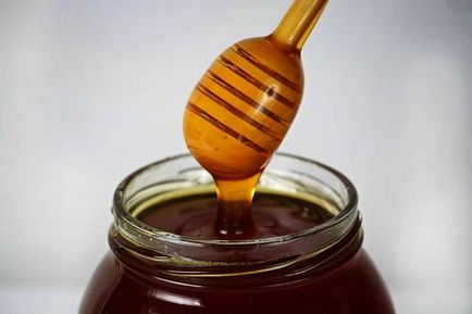 Тайговий мед корисні властивості і протипоказання