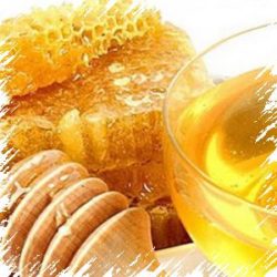 Тайговий мед - корисні властивості і склад