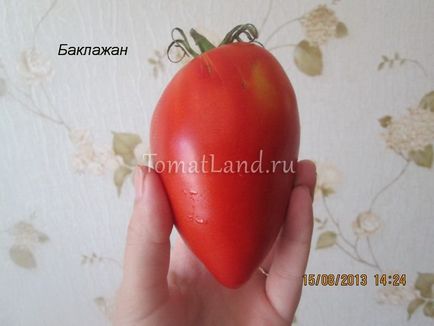 Tomato vinete отзывы, фото, урожайность