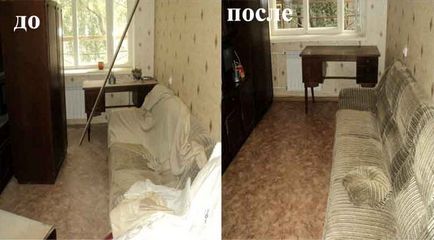 Curățarea cabana după construcție elefant compania de curățare în Moscova, preț, recenzii, fotografii