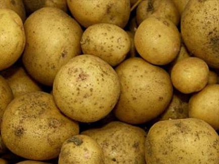 Збирання ранніх сортів картоплі