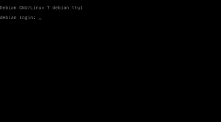 Instalarea programului debian 7