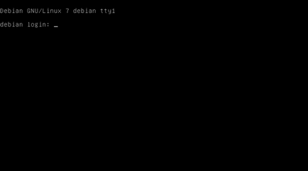 Установка debian 7