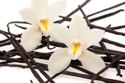 Ваніль - корисні властивості популярного аромату