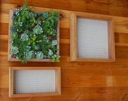 Grădinile verticale din apartament