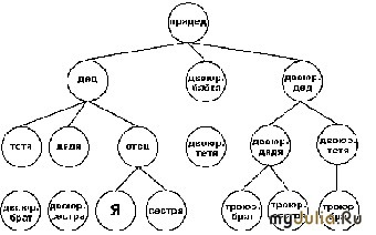 Tipuri de jurnal genealogic al grupului - genealogie, genealogie, onomastică și heraldică a grupului - femeie