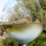 Vin gevurtstraminer - caracteristici și cultura consumului