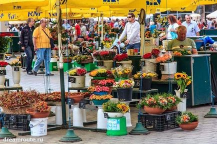 În Cracovia cu mașina