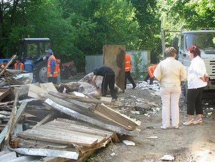 Влада Жулебіно розгромили приватний притулок для собак і приспали тварин