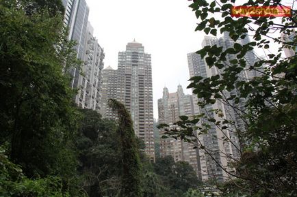 Urca pe vârf Victoria, Hong Kong