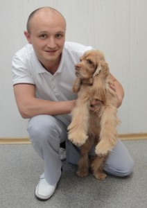 A lehetőségek a csontkovácsolás az állatok kezelésére, kutyáknak oszteopatikus kezelés csontkovács