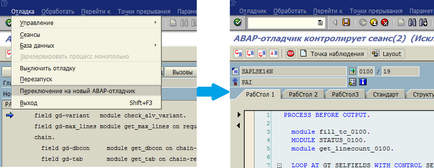 Privirea expertului la sap erp