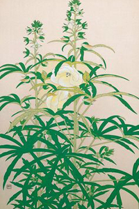 Stil japonez tradiționale pictura nihonga
