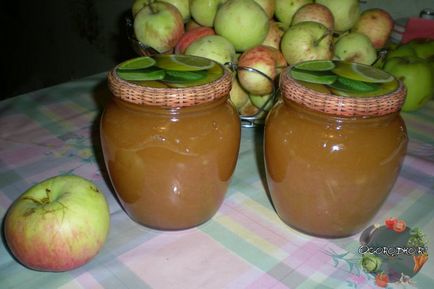 Заготовки з яблук на зиму - найкращі рецепти фото