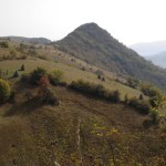 За оливками в Болгарію, новини про Болгарії