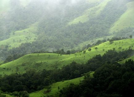 Western Ghats - un patrimoniu mondial al UNESCO - arven