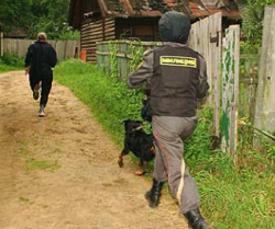Protecția împotriva hoților de la gărzile de vile cu cazare, fotografii și videoclipuri