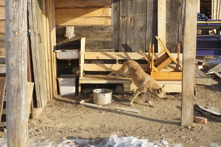 Az a tény, hogy a hajléktalan emberek - Csita felülvizsgálata