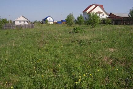 Земельна ділянка безкоштовно як отримати землю у власність, земельні питання