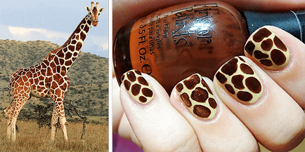 Girafa pe unghii