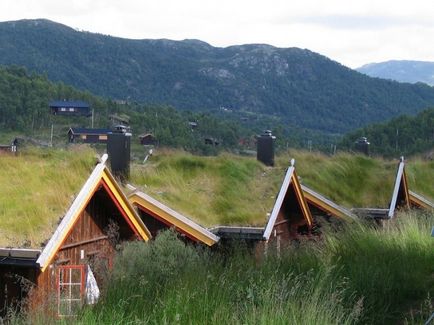 Живі дахи будинків в норвегії