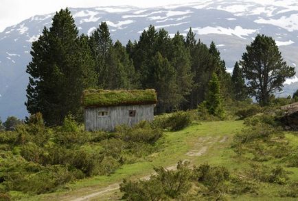 Acoperișuri de locuit în Norvegia