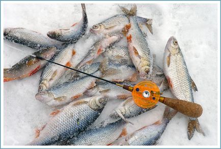 Tije de pescuit de iarna realizate manual
