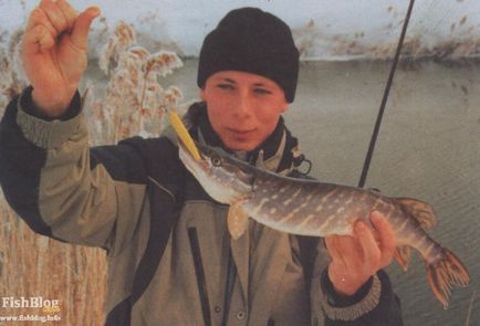 Iarnă în wobbler - ziar online despre pescuit