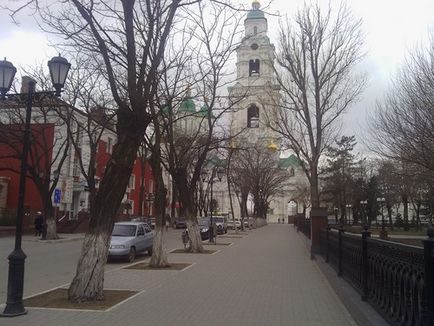 ZTE rája - nagyon szereti a fényesség (rája) ZTE skate - nagyon szereti a fényes