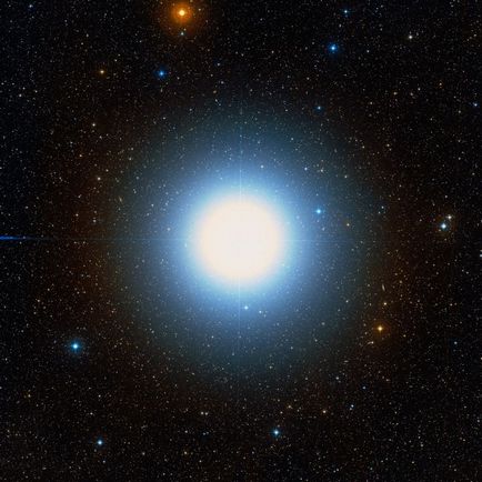 Starul Vega
