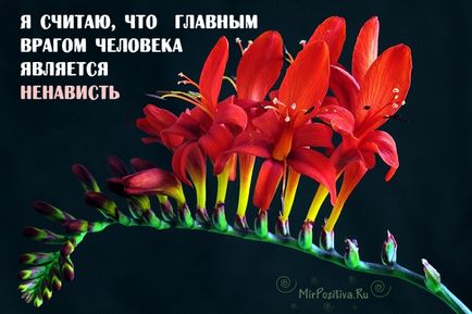 16 Висловів далай лами, які змінять ваше мислення